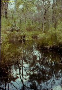UPPER TIBROGARGAN CREEK